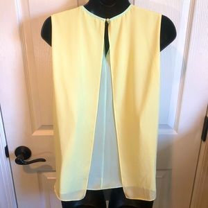 Ted Baker Layered Flowy 2 Color Top